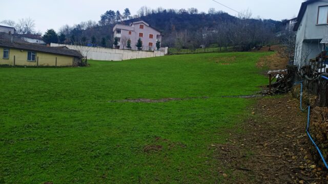 WhatsApp-Image-2026-04-08-at-14.03.08