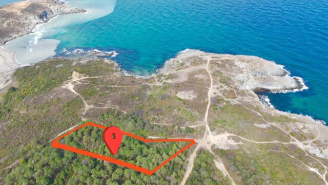 WhatsApp-Image-2026-04-08-at-14.03.15-1