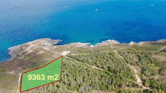 WhatsApp-Image-2026-04-08-at-14.03.15-2