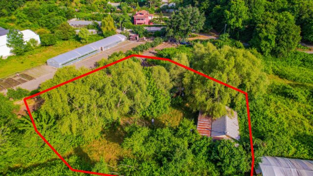 WhatsApp-Image-2026-04-08-at-14.31.34-2