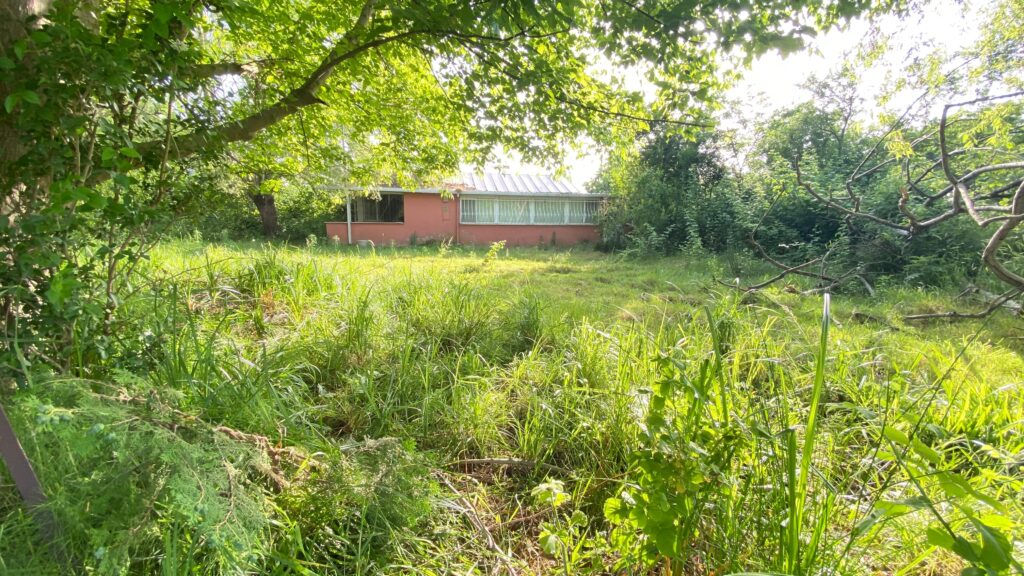 WhatsApp-Image-2026-04-08-at-14.31.43-1