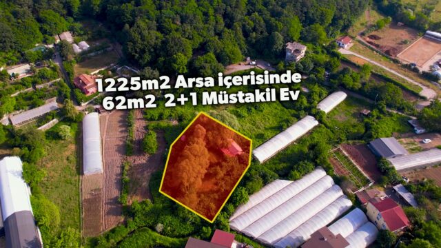 WhatsApp-Image-2026-04-08-at-14.31.44